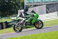 brands-hatch-photographs;brands-no-limits-trackday;cadwell-trackday-photographs;enduro-digital-images;event-digital-images;eventdigitalimages;no-limits-trackdays;peter-wileman-photography;racing-digital-images;trackday-digital-images;trackday-photos